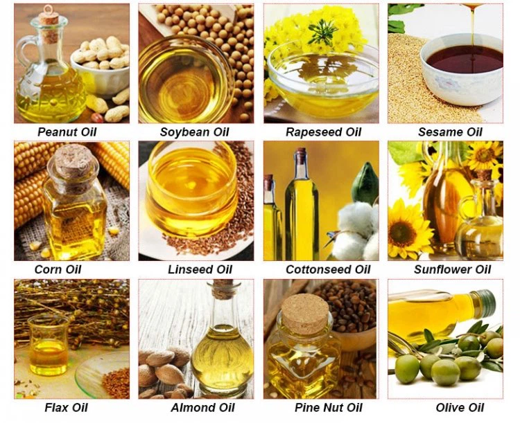 Coconut Walnut Press Machine